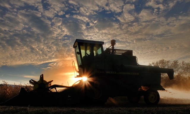 Plant machinery and equipment.