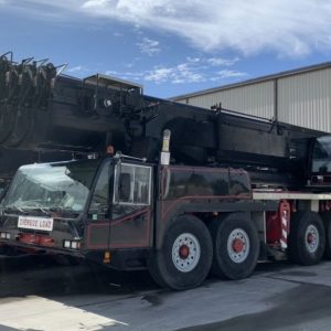 Grúa móvil Terex Demag AC 300